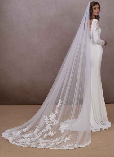 Pawzc Charity Veil
