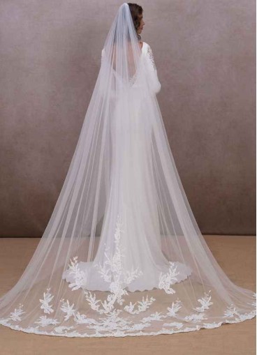 Pawzc Charity Veil