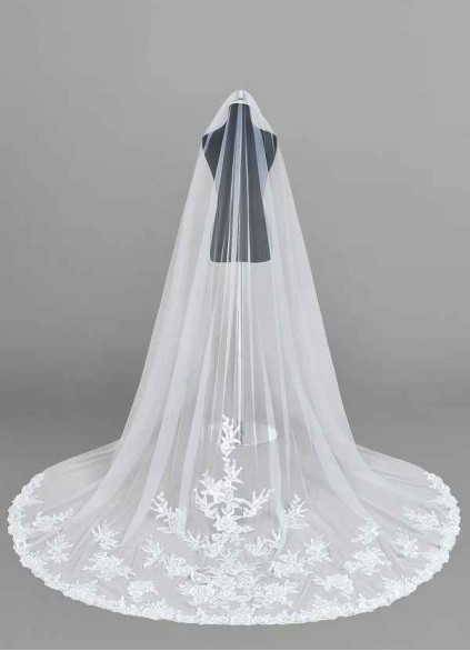 Pawzc Charity Veil