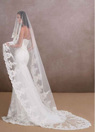 Pawzc Princess Veil