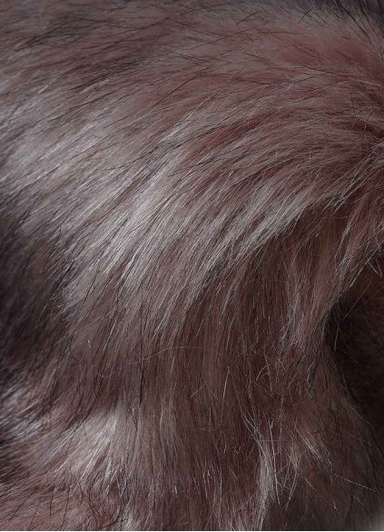 Pawzc Sincerity Faux Fur Wrap Pawzc Sincerity Faux Fur Wrap