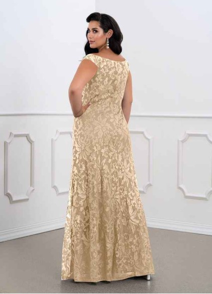 Pawzc Porcelain MBD Pawzc Porcelain MBD