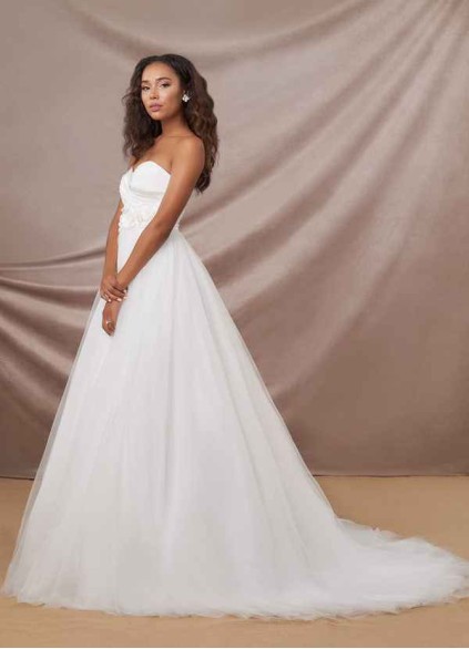 Pawzc Williamina BG Pawzc Williamina BG