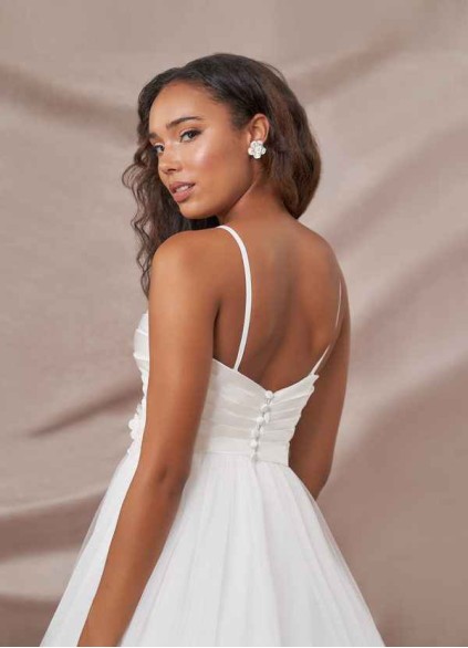 Pawzc Williamina BG Pawzc Williamina BG