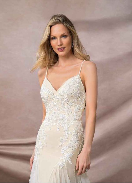 Pawzc Rosana BG Pawzc Rosana BG