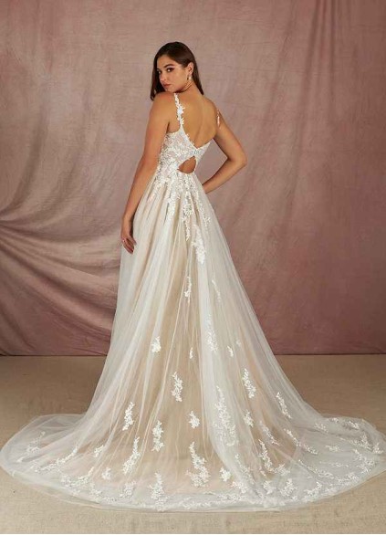 Pawzc Rivi BG Pawzc Rivi BG