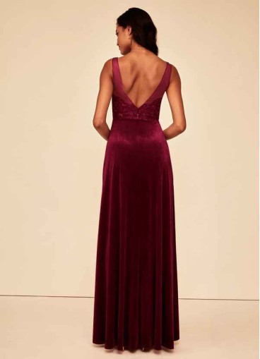 Pawzc Verona Velvet Dress