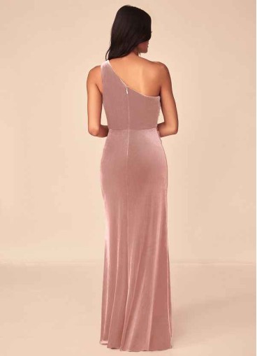 Pawzc Argan Velvet Dress
