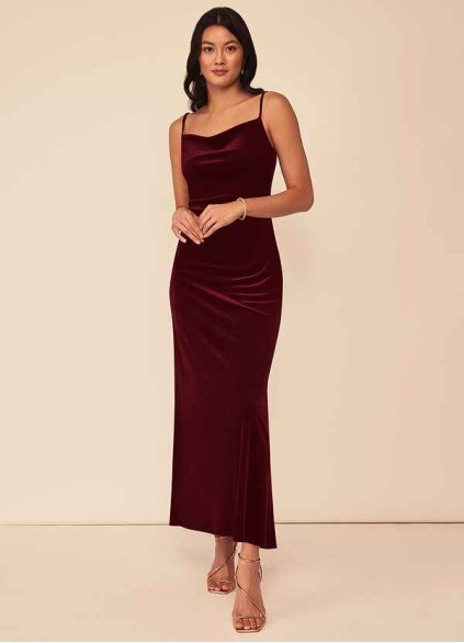 Pawzc Lexi Velvet Dress